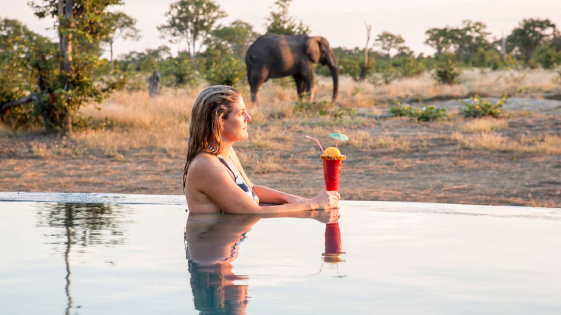 Camp Kuzuma, Close Encounter with Elephants, Botswana